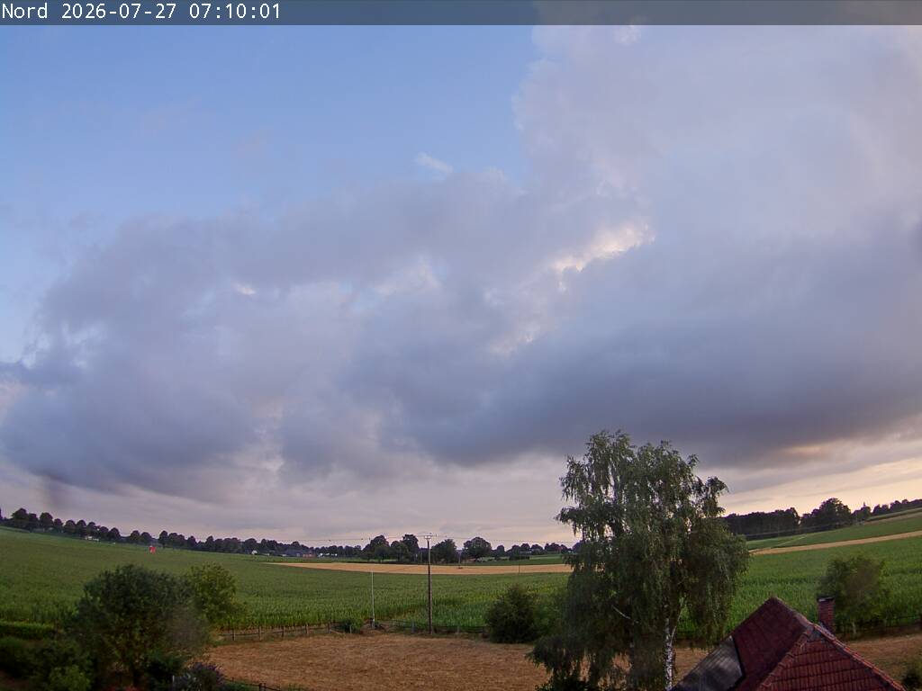 Webcam Bild