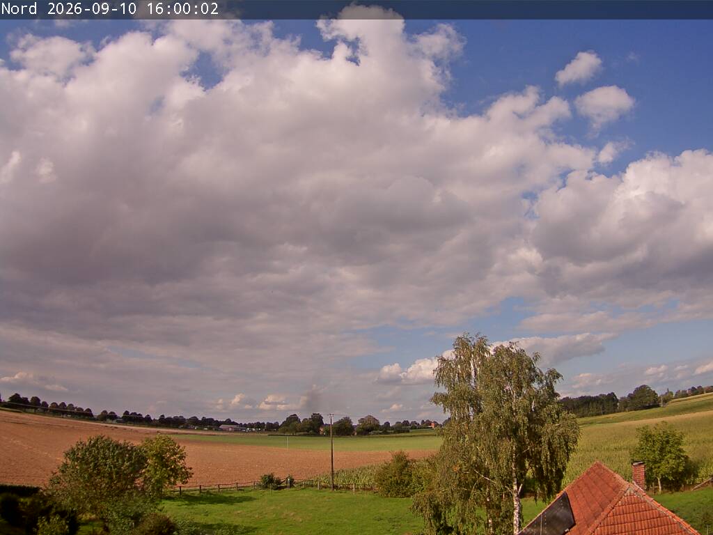 Webcam Bild
